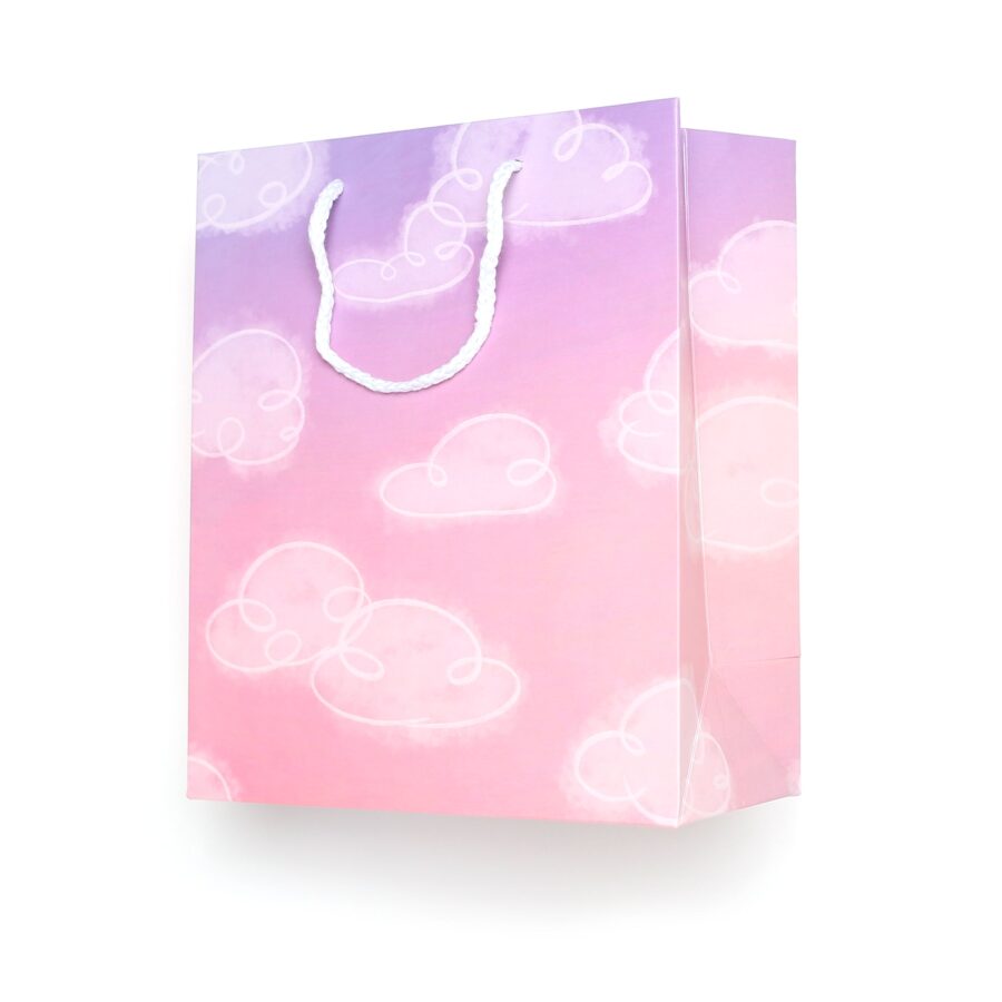 gift bag