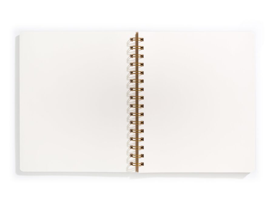 Standard Journal Evening - Image 4