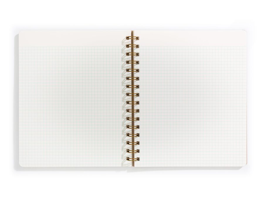 Standard Journal Evening - Image 6